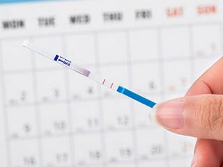 杜鹃花作文400字_杜鹃花的作文要怎么写