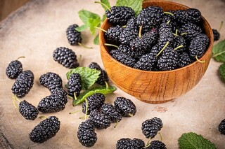 经典诵读活动方案_经典诵读活动方案效果怎么写