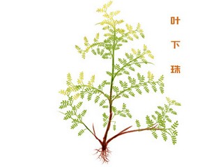 震撼人心的拼搏励志名言（拼搏励志的名人名言）
