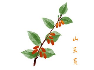 春游的日记（春游的日记150字）