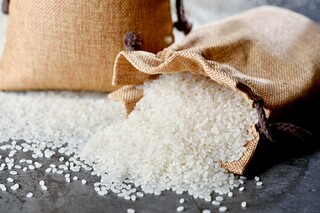 陋室铭教案（陋室铭教案设计大赛一等奖）