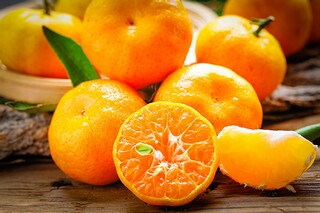 第一棵枯萎的桃花心木苗作文600字_枯萎的桃花心木思维导图