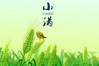 《解比例》教学反思(解比例课后反思不足)