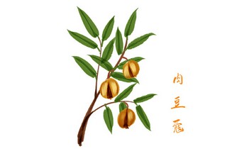 一的成语_一的成语有多少