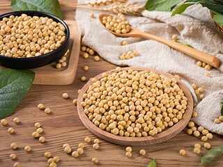 秋天感悟简短句子（秋天感言）