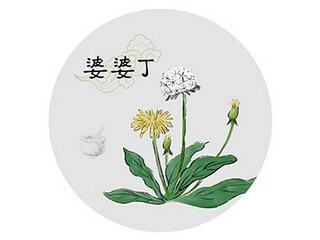 再回首经典诗歌（再回首经典诗歌有哪些）