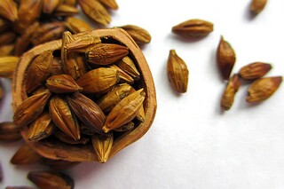 暴雨大风天气施工现场应急预案_大风大雨天气工地应注意什么