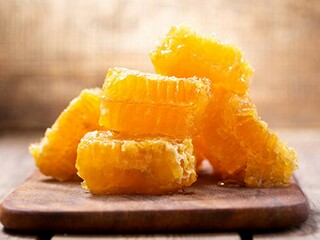 2025年春季义务植树活动方案(开展春季义务植树活动)