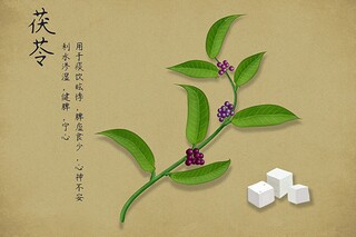 我最想感谢的老师作文
