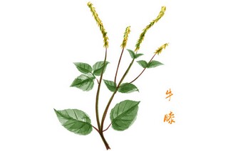 母亲节温馨祝福语35条_母亲节温馨祝福语35条简短