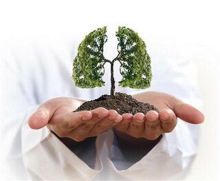 给朋友的春节祝福语_朋友的春节祝福语短句2025字