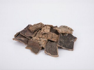 电厂顶岗实习总结报告