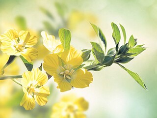 含有一和知字的成语及释义（一字开头知字结尾的成语）