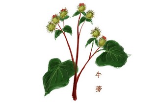 家乡的海优秀作文（家乡的海景）