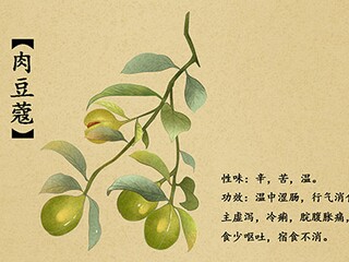 抒情的现代诗歌欣赏（抒情现代诗句 经典）