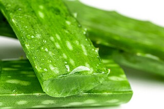 春夜喜雨作文_春夜喜雨作文500字左右