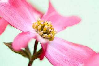 经典无奈朋友圈语录文案（很无奈的朋友圈心情句子）