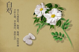 浣溪沙 咏橘原文翻译及赏析_《浣溪沙》的翻译和意思