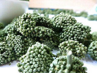 诗词《临平道中》译文及注释赏析（临平道中这首诗描写了一幅怎样的景象）