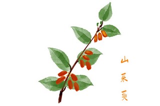 鲁滨逊漂流记读后感（鲁滨逊漂流记读后感四百字）