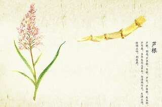 小宝贝生日祝福语_幼儿园小宝贝生日祝福语