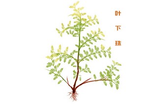 小学秋游活动方案（小学秋游活动方案怎么写）