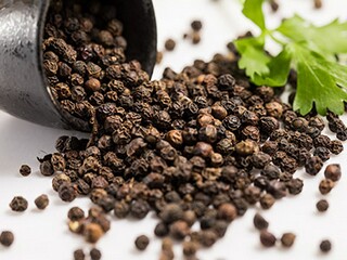 友情岁月的经典好句