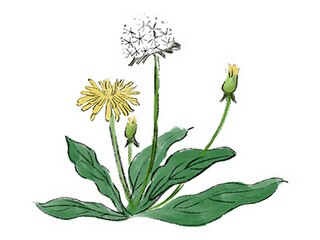 祝霜降快乐的祝福语（霜降祝福短句）