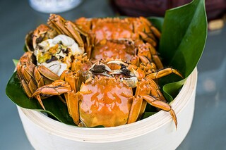 《谁的青春不迷茫》读后感
