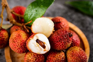 经典小学生谚语_小学生必备谚语大全