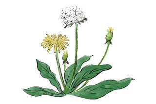 简单的爱情唯美句子50条（简单一点的爱情句子）