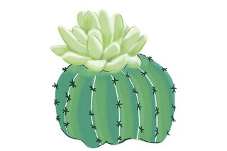 清晨的阳光唯美句子(夏日清晨的阳光唯美句子)