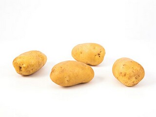 月亮作文400字（月亮作文400字初一）