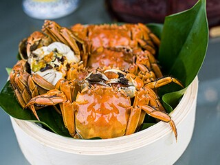 《摇啊摇》教学反思（摇啊摇音乐活动反思）