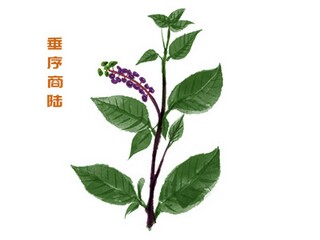 春分节气是哪一天_春分节气是什么时候