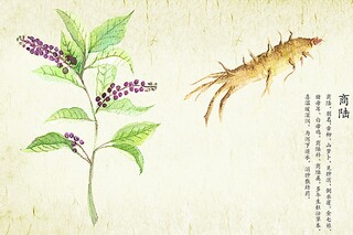 描写表演场面的成语及解释_描写表演的场面描写