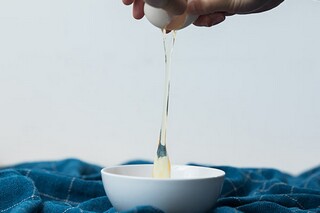 那片茂密的花丛作文300字_在一片茂密的丛林里的作文