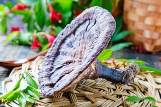 大寒节气的唯美句子（大寒节气语句）