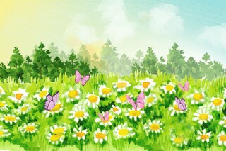 写菊花的作文（写菊花的作文300字三年级）