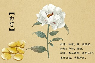 文学常识什么是风雅颂赋比兴（简述风雅颂赋比兴的含义）
