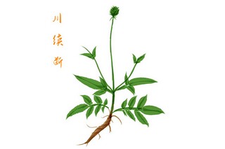 20年后的家乡作文_20年后的家乡作文500字左右小学生