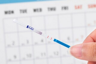 描写雨的诗句_描写夏雨的诗句