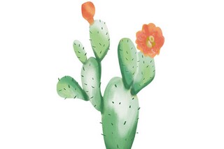 老板在年会上的开场白（年会老板致辞开幕词）