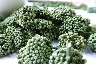 写给春天的现代诗歌（写给春天的现代诗歌短篇）