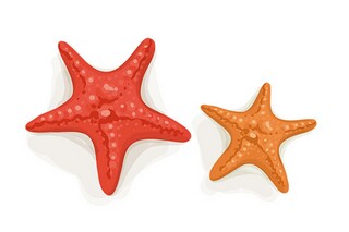 描写各种各样的水果句子（各种各样的水果用什么话形容）