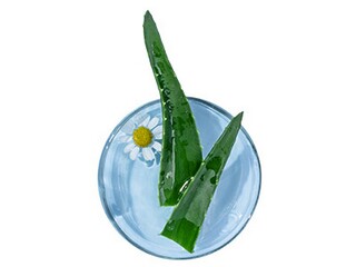 广州信息工程学院是几本_广州信息工程职业技术学校是公办还是民办