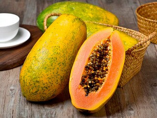 设备借用合同标准版本