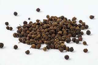 我爱梅花的作文（我爱梅花的作文600）