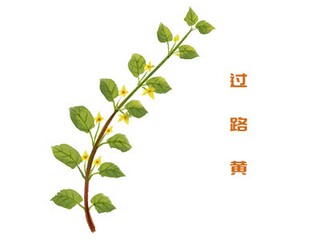 描写的山水的古诗句_完整的描写山水的古诗句
