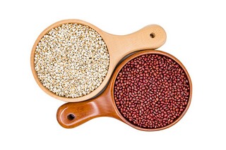 六年级语文下册《文言文》导学案设计_六下文言文教学反思